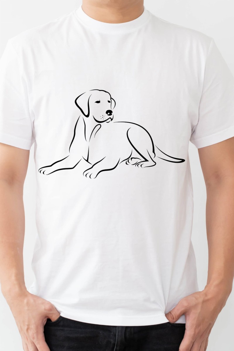 Labradormodelkoszulka.jpg