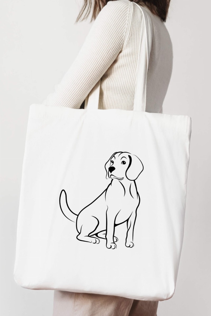 Beagletorbamodel.jpg