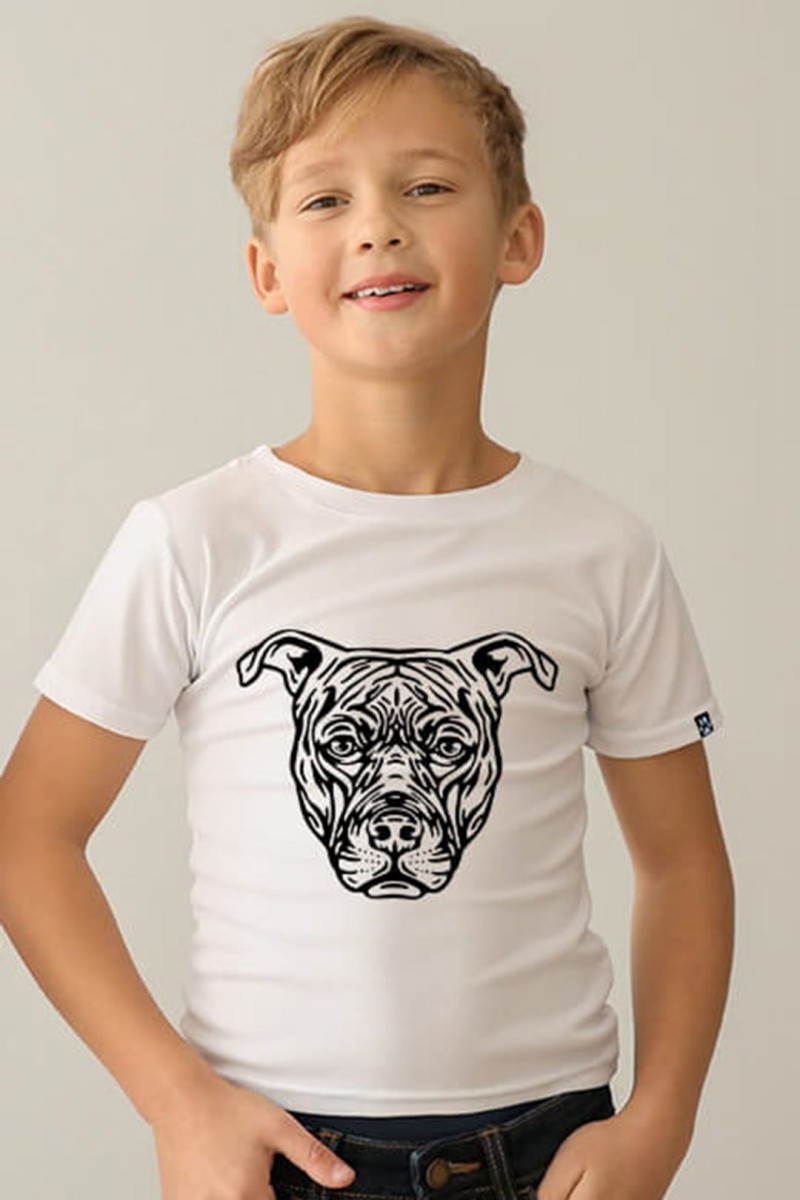 pitbulldzieciecemodele5.jpg